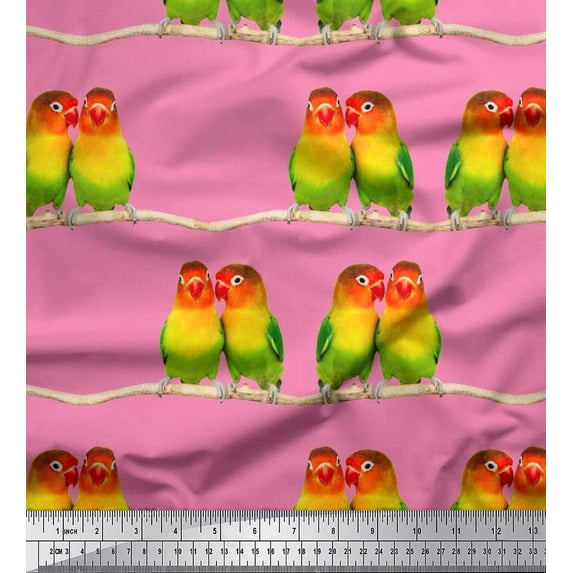 Soimoi Cotton Jersey Fabric Branch & Colorful Parrot Bird Print Fabric by The Yard 58 Inch Wide