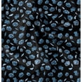 thumbnail image 1 of Soimoi Cotton Poplin Black Fabric By the Yard - 42 Inch Wide - Florals Print Fabric - Watercolor Floral Patterns for Fashion and Home Decor Printed Fabric, 1 of 6