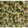 thumbnail image 1 of Soimoi Cotton Poplin Fabric Cat Face Animal Print Sewing Fabric Yard 56 Inch Wide, 1 of 7