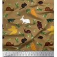 thumbnail image 1 of Soimoi Velvet Fabric Bird,Squirrel & Rabbit Animal Print Fabric by The Yard 58 Inch Wide, 1 of 1