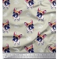 thumbnail image 1 of Soimoi Velvet Fabric Boston Terrier Dog Printed Fabric 1 Yard 58 Inch Wide, 1 of 1