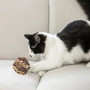 Sokhug Catnip Toys | for Cats Natural Treats for Indoor Cats Interactive Kitten Teeth Cleaning Toys for Calm Cat Anxiety and Stress Teeth Cleaning