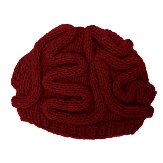 Sokhug Funny Brain Knitted Hat,Knitted Personalized Brain Hat,Winter Hat