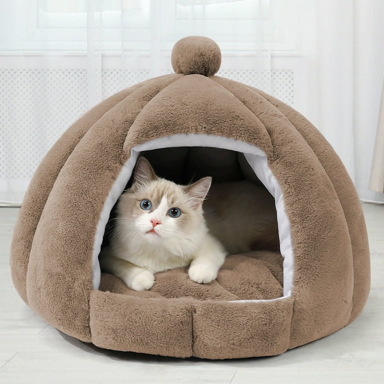 Cool puppy beds best sale