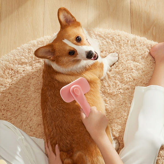 Sokhug Pet Hair Dryer, 2 in 1 Multifunctional Dog Hair Dryer with Slicker Brush, Adjustable Air Speed Dog Blow Dryer Pet Grooming Hair Dryer for Small and Medium Dogs Cats to Use