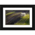 thumbnail image 1 of Sokolovsky, Vlad 14x10 Black Ornate Wood Framed with Double Matting Museum Art Print Titled - Strings Of Spring, 1 of 4