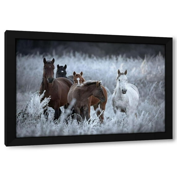 Vlad Sokolovsky 18x13 Black Modern Wood Framed Wall Art Titled - One Frosty Morning..