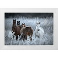 thumbnail image 1 of Sokolovsky, Vlad 18x13 White Modern Wood Framed Museum Art Print Titled - One Frosty Morning.., 1 of 4