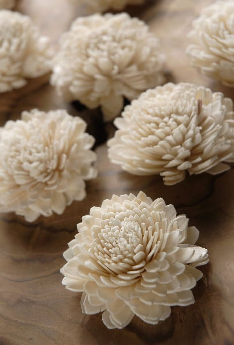 Sola Flowers Zinnias 12 Flowers 2.25in. Wide Handmade Flowers From