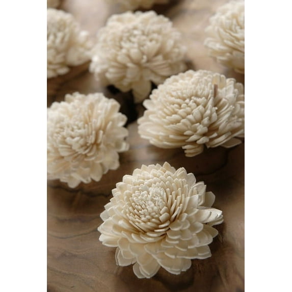 Sola Flowers Zinnias 12 Flowers 2.25in. Wide Handmade Flowers From Tapioca Wood Peel.