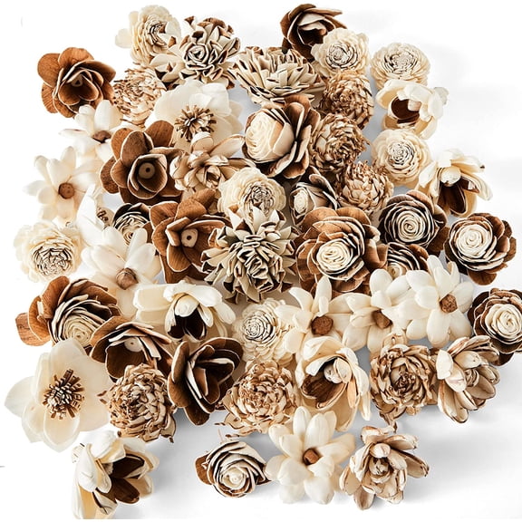 Sola Wood Flower Bark Assortment