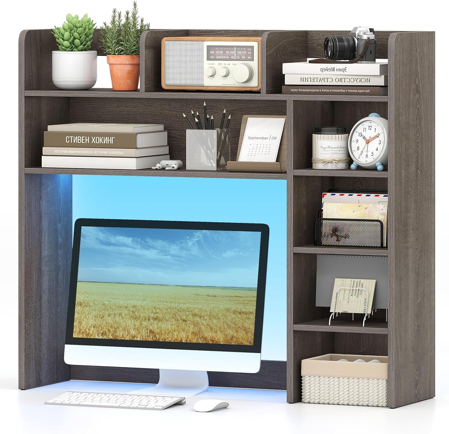 SolaceHue Desktop Bookshelf with LED Lights, Desk Hutch with 8 Shelves ...
