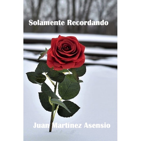 Solamente Recordando, (Paperback)