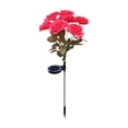 thumbnail image 1 of Solar Flower Lights Outdoor Pink Faux Roses Waterproof Outdoor Lawn Decorative Pathway Light, 1 of 6