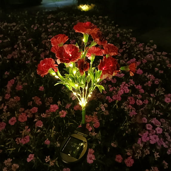 DYTTDG Solar Red LED Landscape and Walkway Light