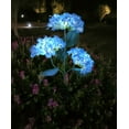 thumbnail image 1 of Solar Garden Fairy Hydrangea Lights - 1 PCS Hydrangea Flower Lights,Outdoor Solar Flower Lights,Waterproof LED Colorful Lights Decorative Gifts for Pathway Patio,Lawn(Blue), 1 of 8