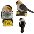 thumbnail image 1 of Solar Garden Lights, Bird Ornament with Rotating Head, Solar Powered LED Outdoor Decor for Yard, Auto On/Off Weather Resistant Statue, 1 of 4