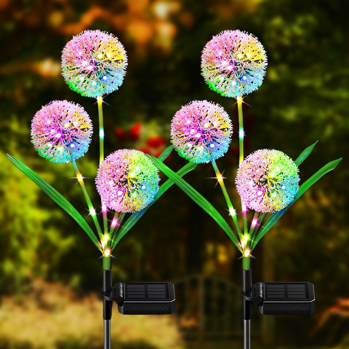 Colorful Solar Dandelion Garden Lights with 36 LED