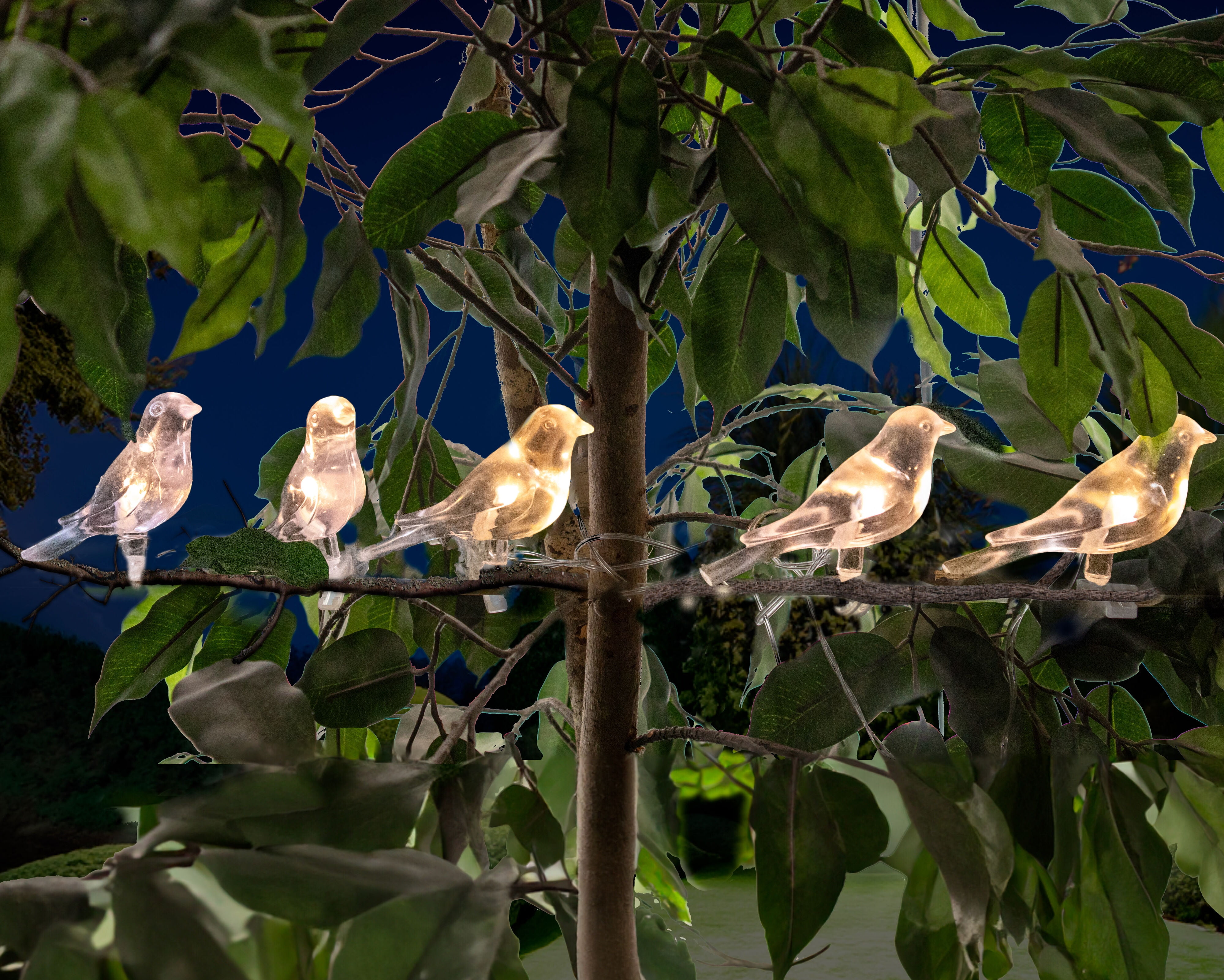 Solar LED Bird Clip On String Lights 5PC SET Solar Lights for