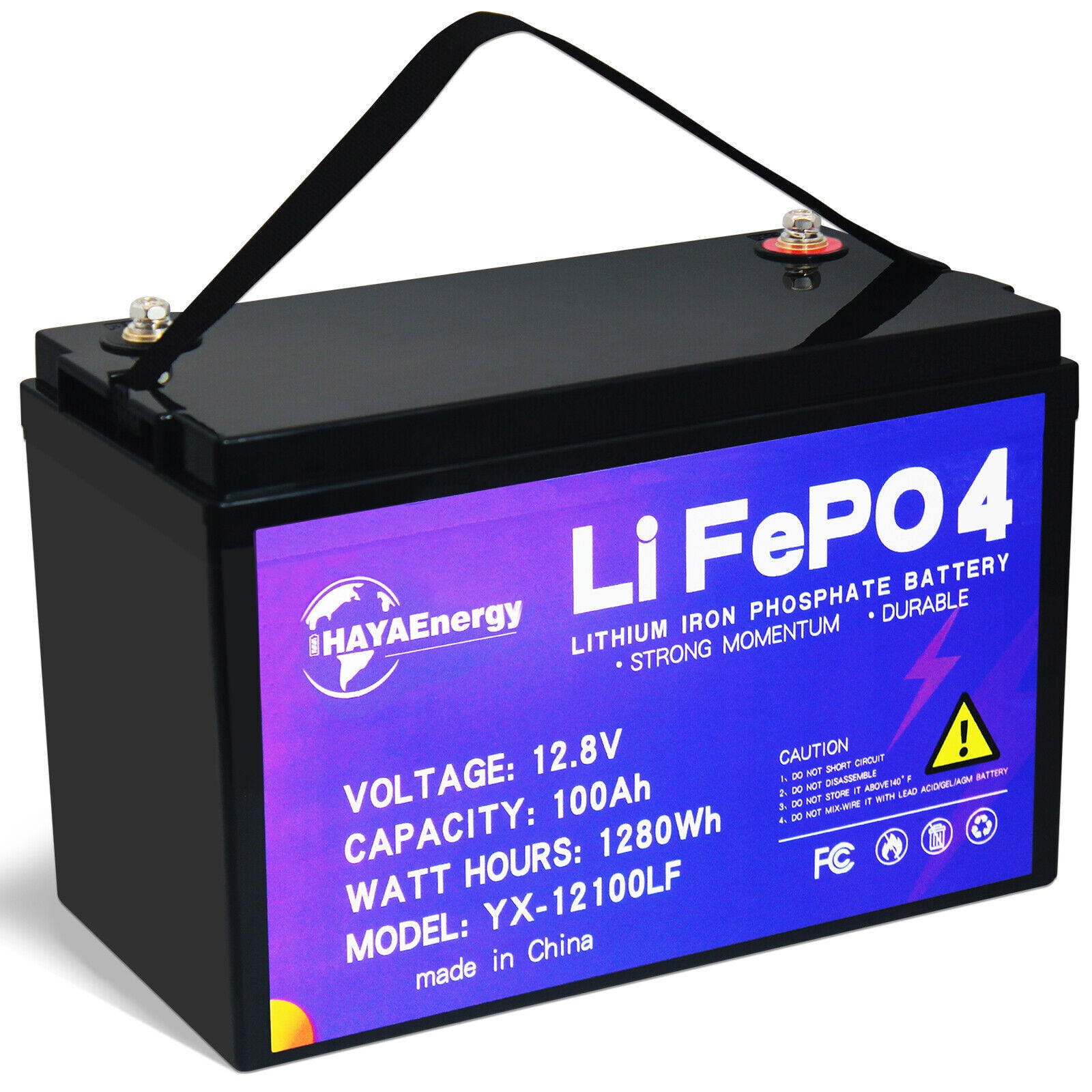 HQST 12V 100Ah LiFePO4 Lithium Iron Phosphate Battery