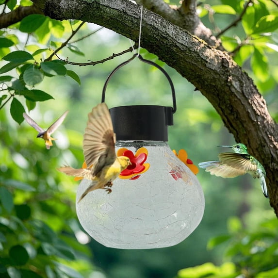 Solar Lighted Hummingbird Feeder | Automatic Hanging Glass Bird Feeder Multicolor 16.5x10cm | Outdoor Patio Garden Decoration, Weather-Resistant, Easy Install
