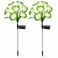 thumbnail image 1 of Rirool Solar Flower Lights Outdoor 2 Pack, Green LED Garden Lights with 8 Lighting Modes, IP65 Waterproof Solar Garden Stake Lights Auto On/Off for Yard Patio Lawn Decoration, 1 of 8