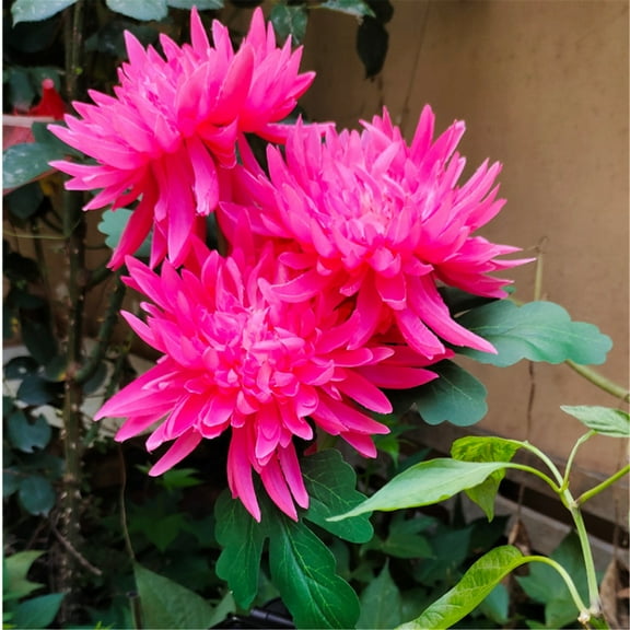 Solar Lights Outdoor Garden Decor, Upgraded Outdoor Solar Garden Lights with 16 Glowing Daisy Flowers & Stems, Waterproof Auto ON/Off Solar Flowers Lights for Outside Garden Yard Patio