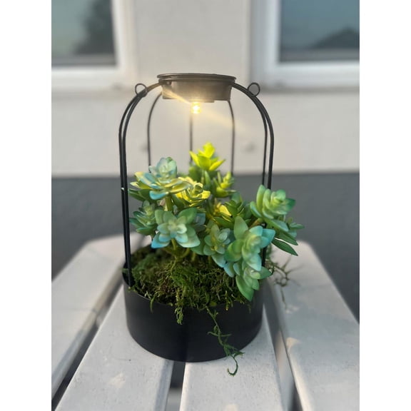 Solar Outdoor Plantern With light  Black