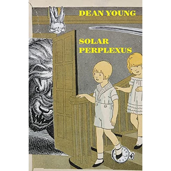 Pre-Owned Solar Perplexus (Paperback) 1556596197 9781556596193