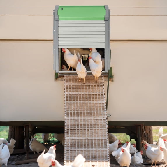 Solar Powered Automatic Chicken Coop Door with Light Sensor & Remote ...
