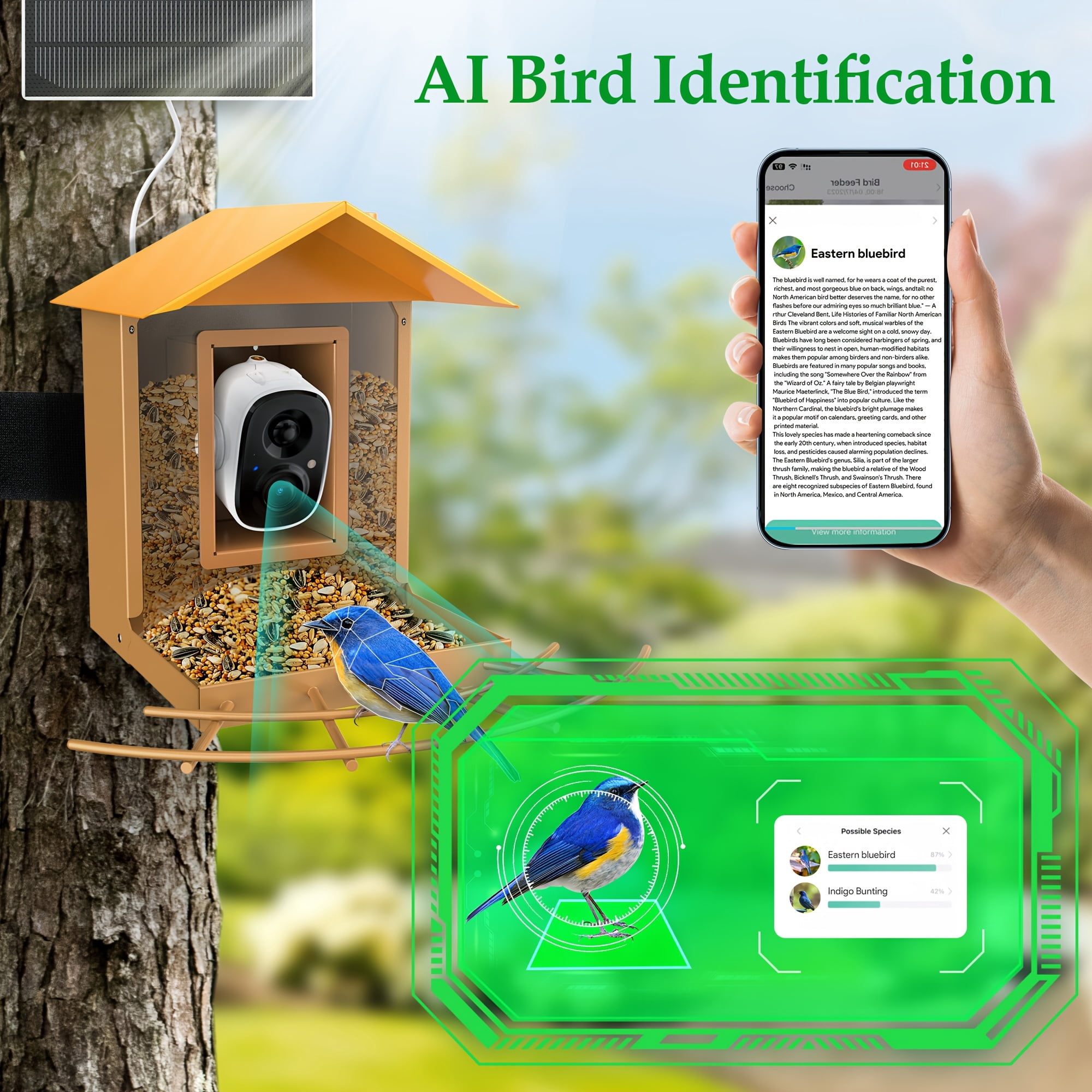 Solar-Powered Bird Feeder with 1080P HD AI Camera, Auto Capture ...