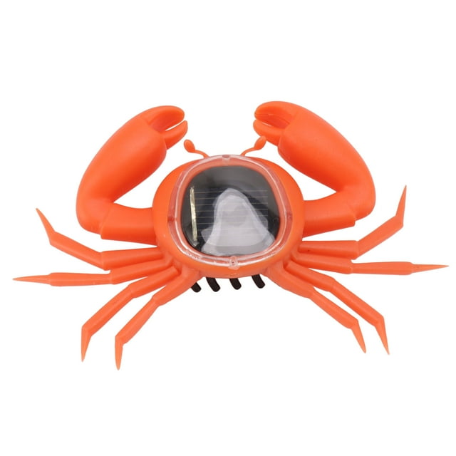 Solar Powered Crab Toy Realistic Simulation Teaching Learning Solar ...