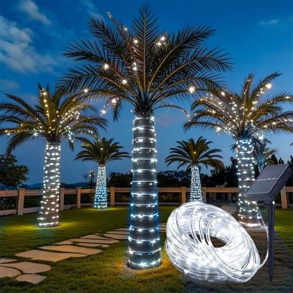 Solar Rope Lights Outdoor Waterproof 100LED Tube String Lights with USB Rechargeable Timer 8 Modes Dimmable Twinkle Fairy String Light for Trampoline Yard Pool Party Wedding Christmas