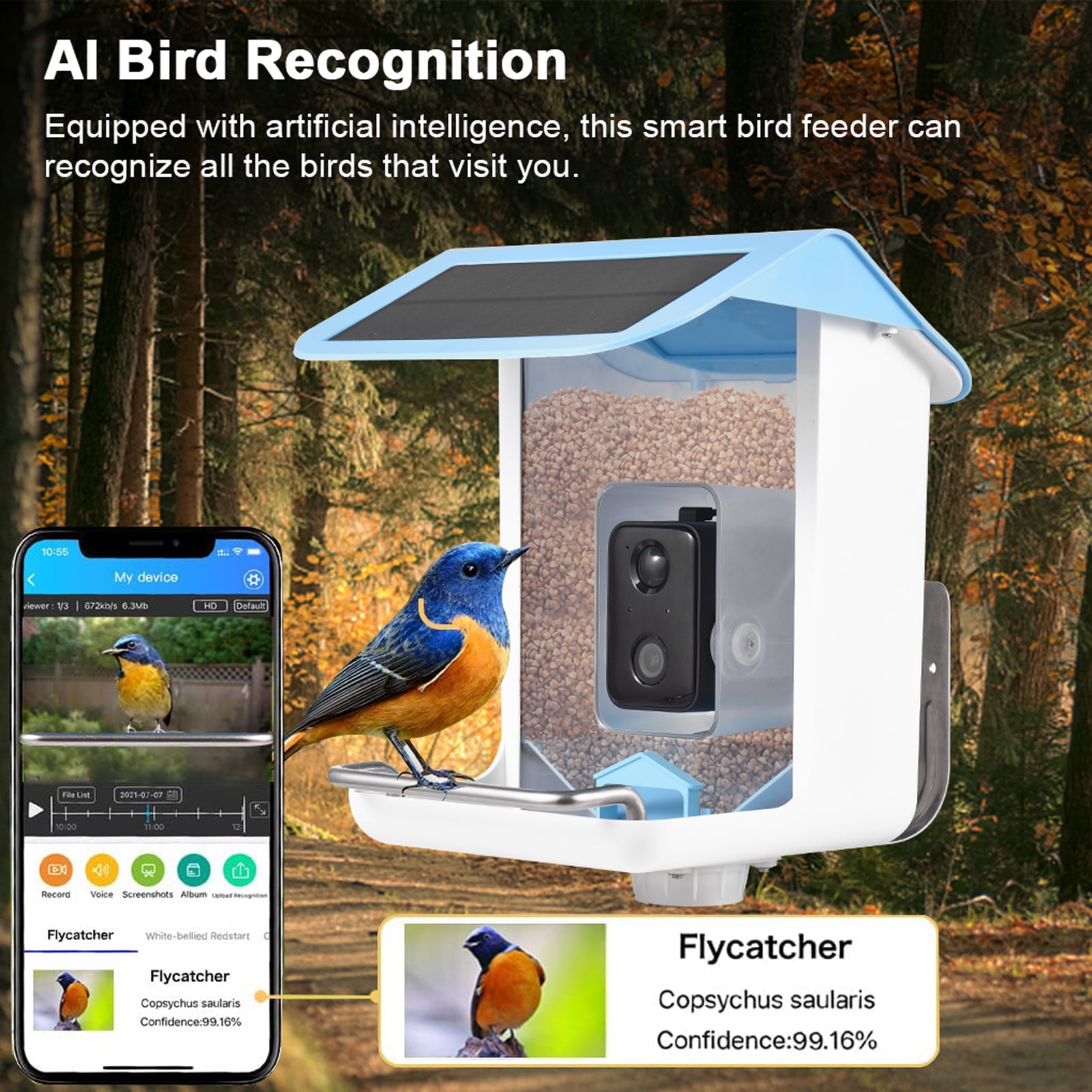 Solar Smart Bird Feeder with Camera 1080HD Night Vision Camera AI