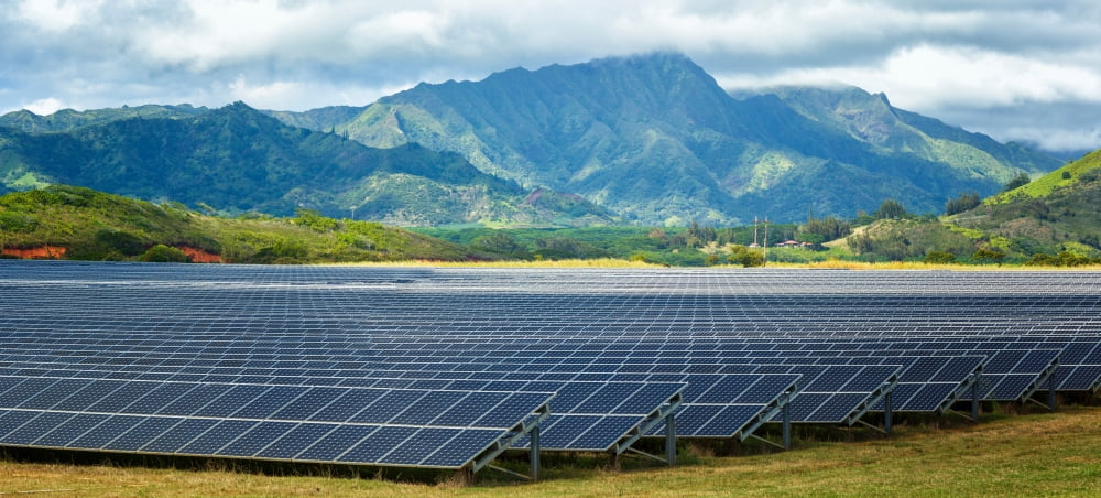 Solar energy panels on field Poipu Kauai County Hawaii USA Canvas Art - Panoramic Images (7 x 15)