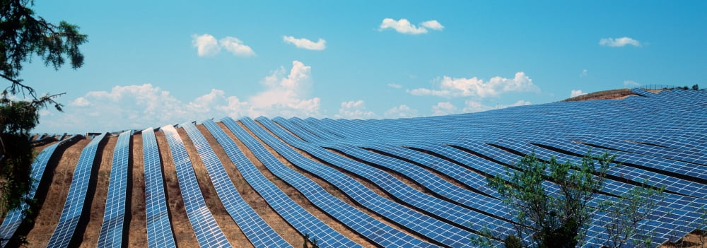 Solar panels in a farm Provence-Alpes-Cote dAzur France Canvas Art - Panoramic Images (35 x 12)