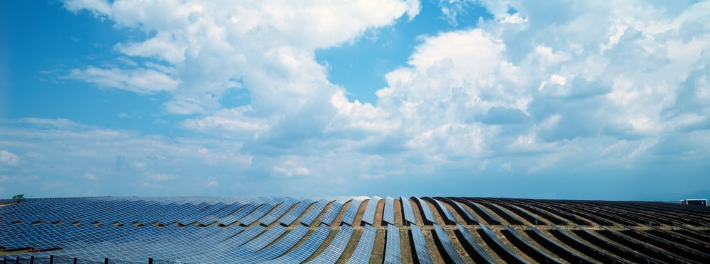 Solar panels in a farm Provence-Alpes-Cote dAzur France Canvas Art - Panoramic Images (36 x 12)