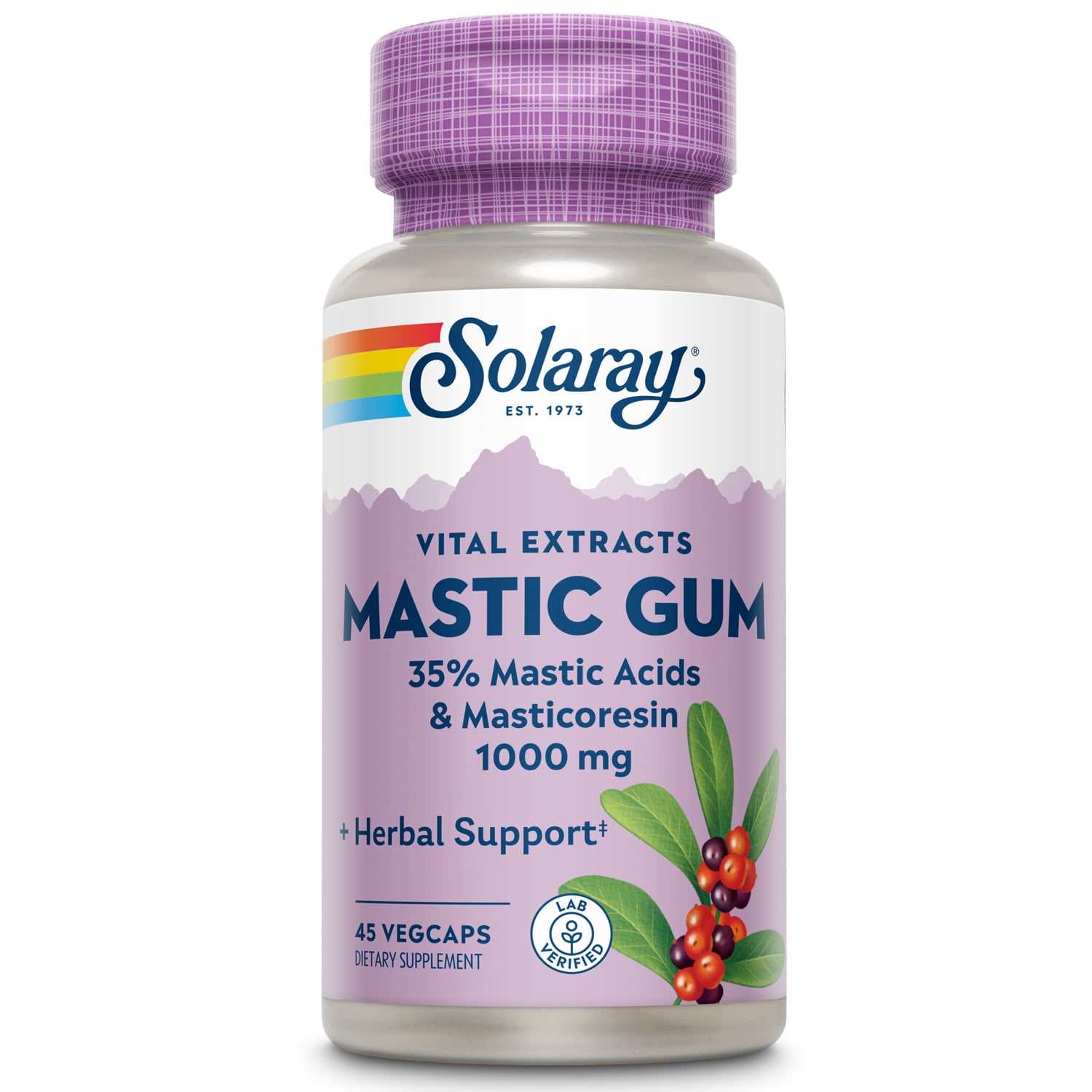 Solaray Mastic Gum Extract | Healthy Gastrointestinal and Digestive  Function Support | 1000 Mg | 45 VegCaps, 22 Servings
