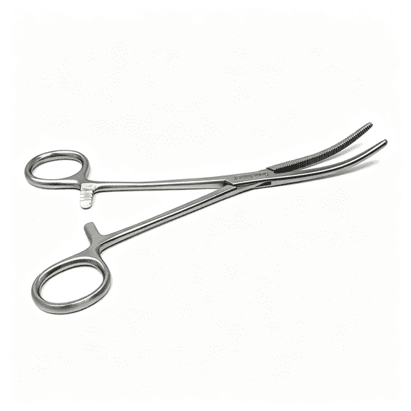 Solargess Father's Day Fishing Pliers Stainless Steel Locking Forceps Curved Narrow Nose Fishing Equipment Outdoor Camping Grandpa, Father in law Gift Fish Hook Removing Clamps For Dads