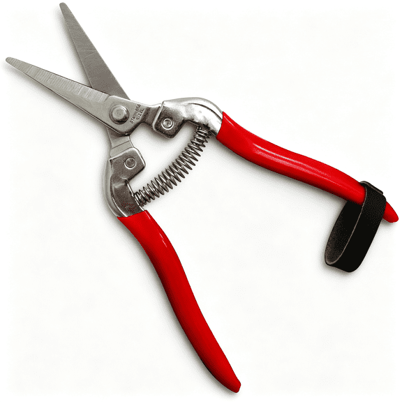 Solargess Pruning Snips 7.5" Stainless Steel Flower Pruning Scissors for Gardening | Floral Snips and Pruners for Deadheading, Trimming & Harvesting Herbs, Flowers, Fruits or Vegetables