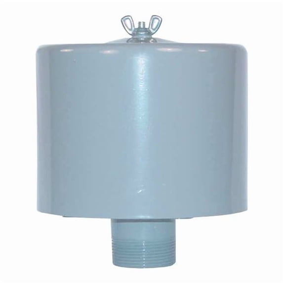 Solberg Inlet Filter,1 MNPT Out,55 Max CFM F-19P-100