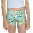 Easygdp Cute Dogs Girls Hipster Cotton Underwear Little Girls