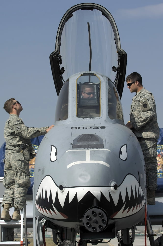 Soldiers learn about the A-10 Thunderbolt II from the Captain Canvas Art - Stocktrek Images (23 x 34)