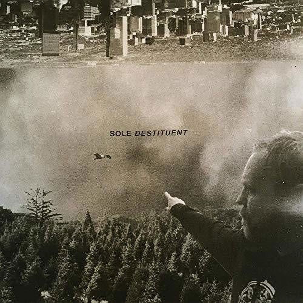 Sole - Destituent - Rock - Vinyl
