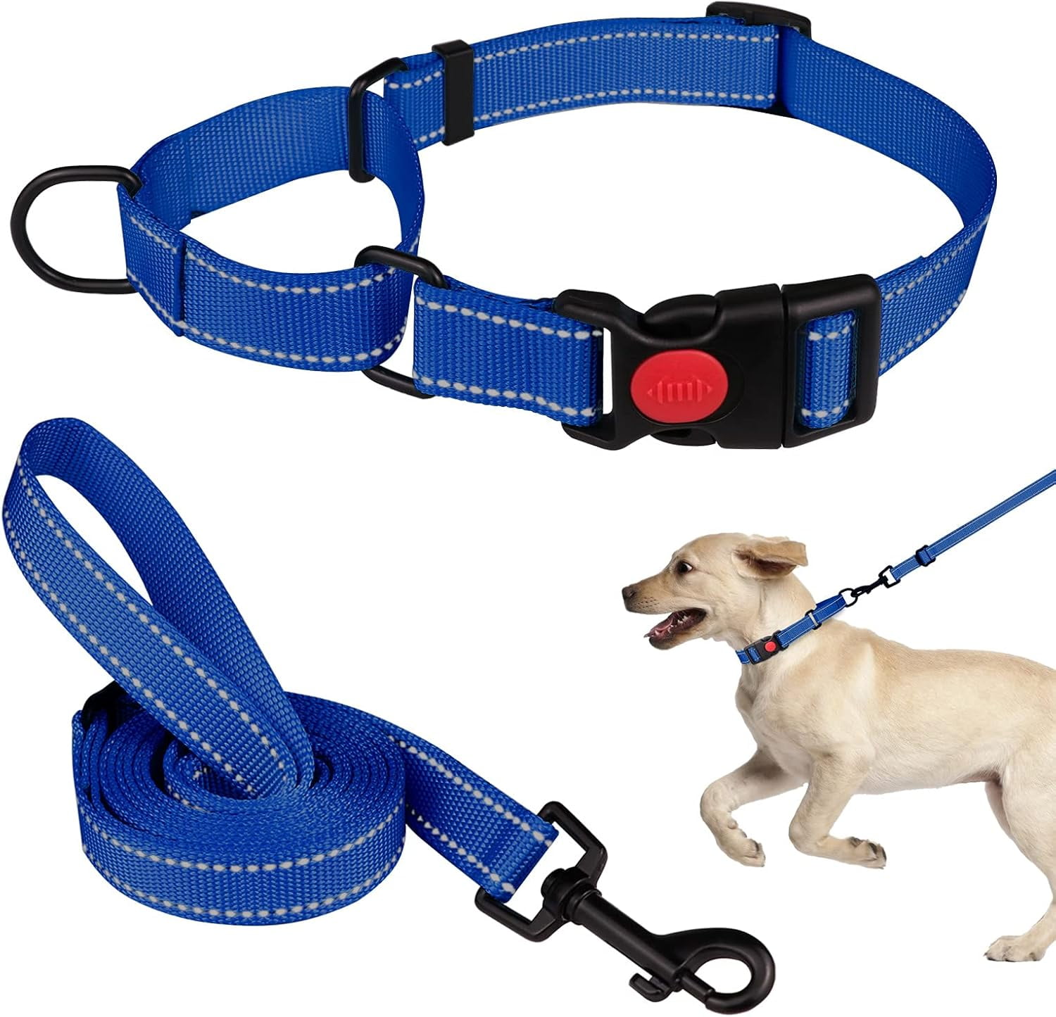 Solennerer Dog Collar Dog Leash Sets Heavy Duty Pet Leash Lead Rope for Small Medium Large Dogs Walking Running Training