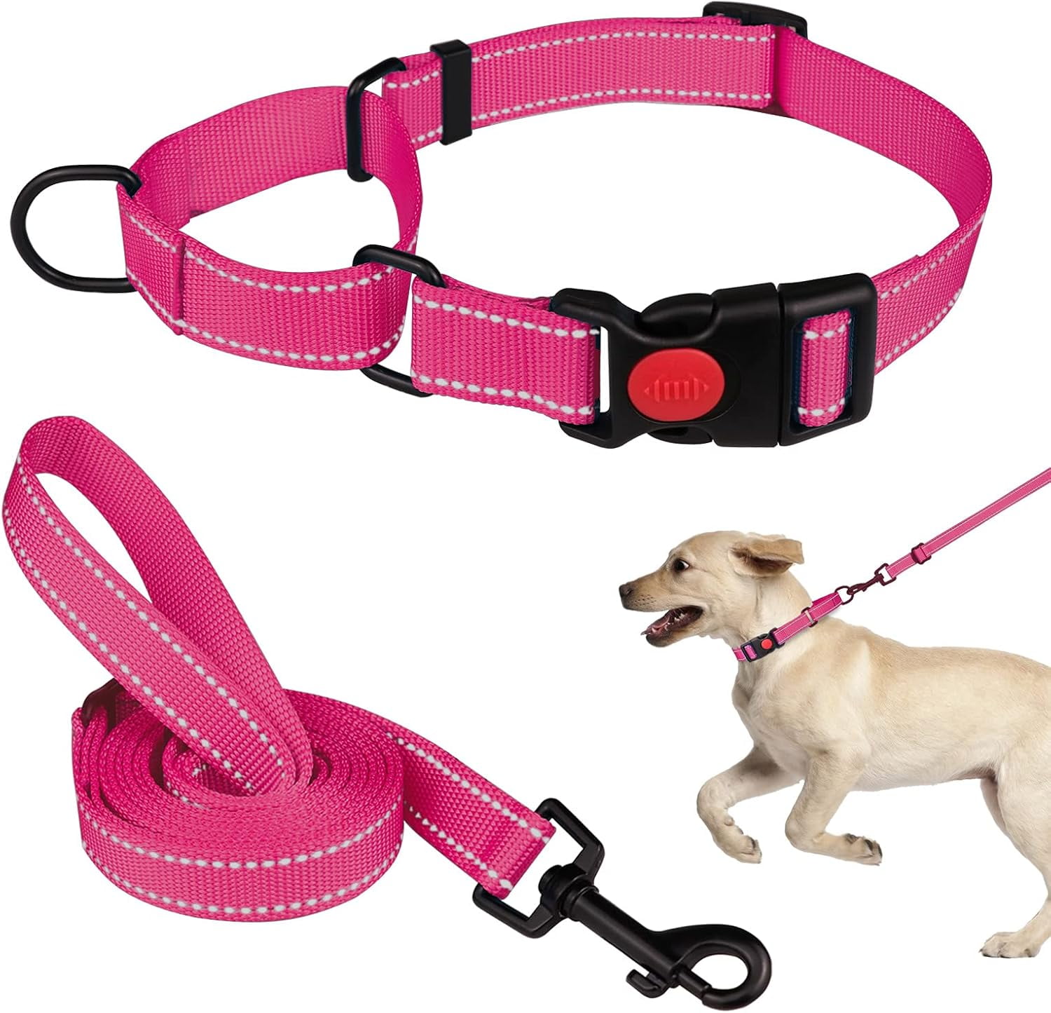 Solennerer Dog Collar Dog Leash Sets Heavy Duty Pet Leash Lead Rope for Small Medium Large Dogs Walking Running Training