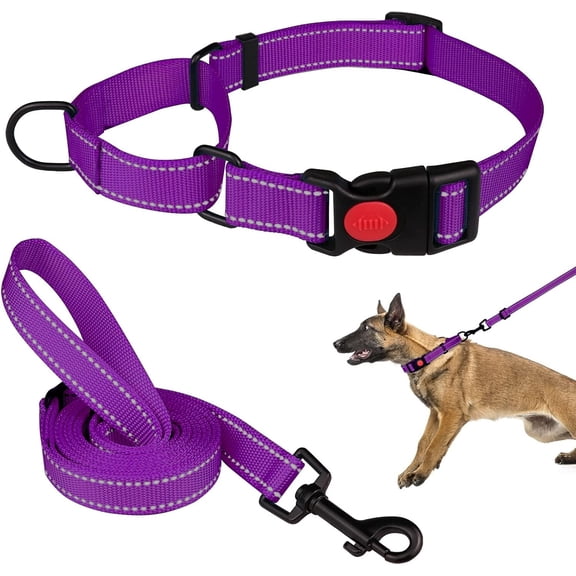 Solennerer Dog Collar Dog Leash Sets Heavy Duty Pet Leash Lead Rope for Small Medium Large Dogs Walking Running Training
