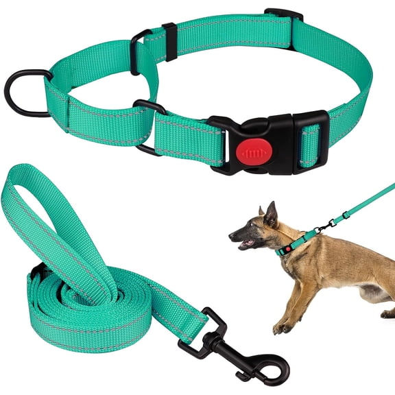 Solennerer Dog Collar Dog Leash Sets Heavy Duty Pet Leash Lead Rope for Small Medium Large Dogs Walking Running Training