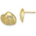 thumbnail image 1 of Solid 10K Yellow Gold Clam Shell Post Earrings - 9.11mm, 1 of 6