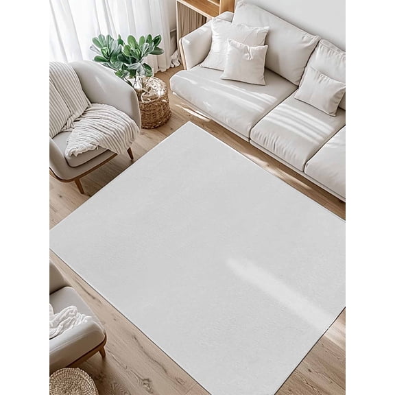 Solid Color Area Rug for Bedroom 4x6 Ft Light Gray Super Soft fuzzy Throw Rug Non-Slip Fluffy Plush Indoor Floor Carpet for Living Room Nursery Home Decor